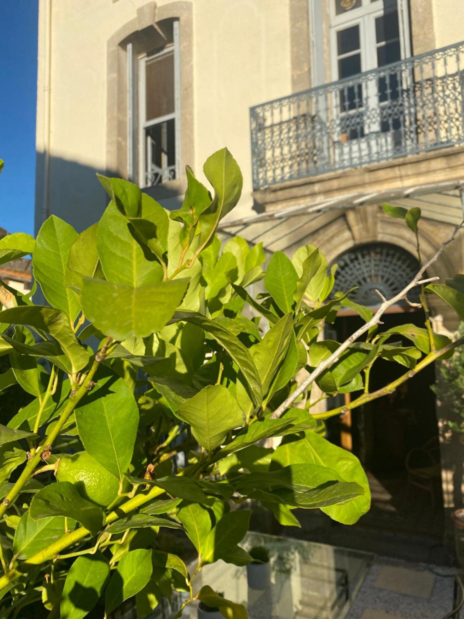 Le Jardin Hotel Aspiran Екстериор снимка